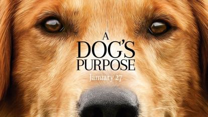 پوستر فیلم A Dogs Purpose 2017