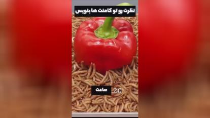 تاثیر آدم های سمی