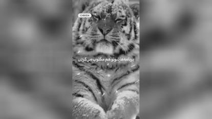 اهمیت برنامه ریزی