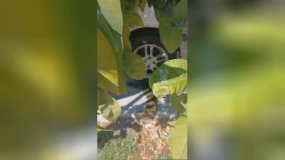 پوستر شوینده نانو رینگ چرخ