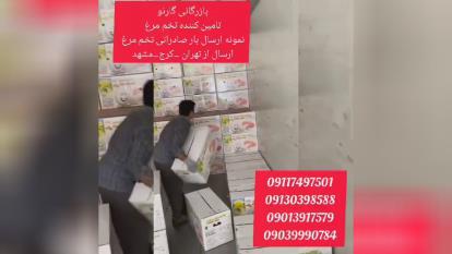 پوستر تامین کننده تخم مرغ