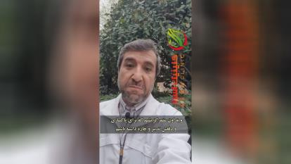 دکتر عزیزخانی | پاکسازی بدن در فصل بهار