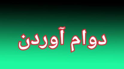 سال اول در نتورک