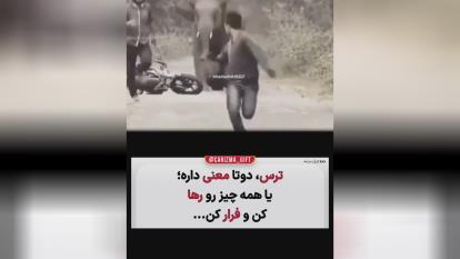 پوستر ترس