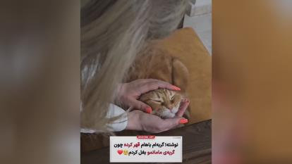 پوستر قهر کرده