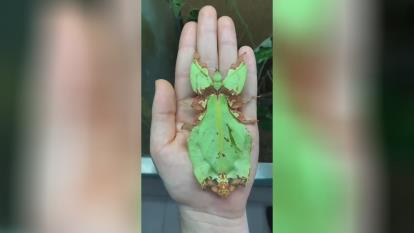 به خدا شک نکن