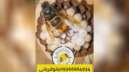 پوستر . زنبور زرد🐝 داستان ما ، خونه خودش رو با الیاف و چوب نرم...