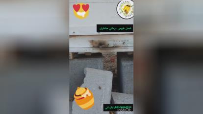 پوستر چقدر روزانه عسل بخورم
