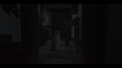 پوستر دانلود فیلم متهم Accused 2023 دوبله فارسی