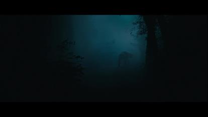 پوستر دانلود فیلم پادشاهی حیوانات The Animal Kingdom 2023