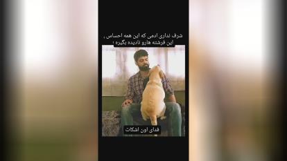 پوستر حس سگ ها