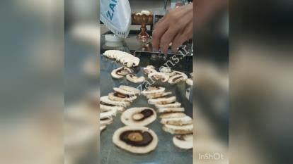 پوستر دستگاه خشک کن میوه