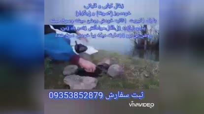 پوستر قیمت زغال کبابی خودسوز