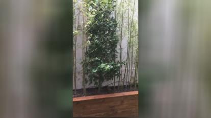 پوستر بازسازی ساختمان در تهران