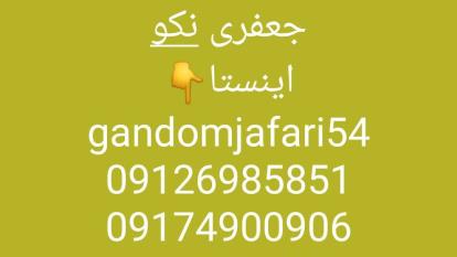 بهترین املاک جزیره کیش