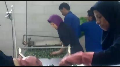 پوستر نوار نقاله انتقال مواد