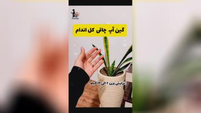 پوستر گین آپ چاقی کل بدن