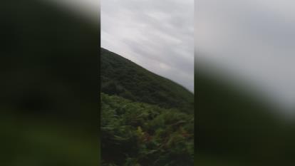 پوستر کلیپ طبیعت زیبا