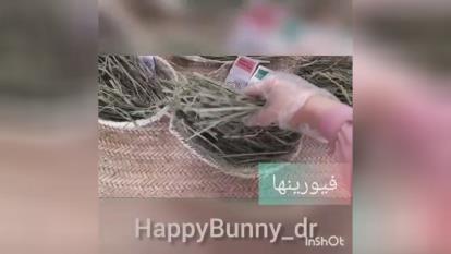 پوستر علوفه جوندگان