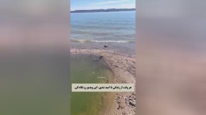 پوستر نا امید شدی