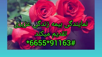 تبریک تولد از طرف نمایندگی بیمه‌ای عزیزی