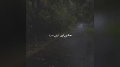 آهنگ وموسیقی..