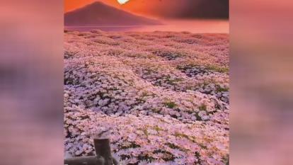 آموزشی