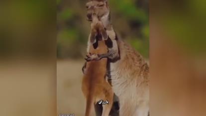 پوستر اگه میخوای حسابت همیشه پرپول باشه