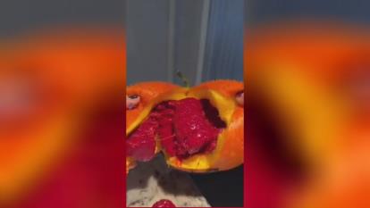 پوستر میوه عجیب و غریب