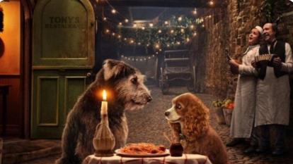 پوستر انیمیشن بانو و ولگرد Lady and the Tramp 2019 با دوبله فارسی