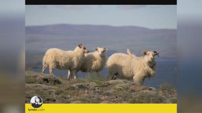 پوستر مقدمه ای کوتاه در مورد عکاسی - کلاس های مجازی آموزش عکاسی