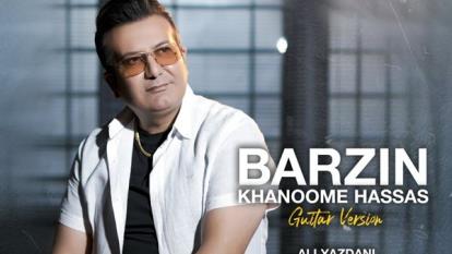 پوستر آهنگ برزین خانم حساس ورژن گیتار - میفاموزیک