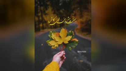 پوستر 🍃🌹❤