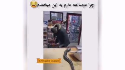 پوستر خنده