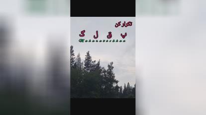 فن بیان حرفه ای