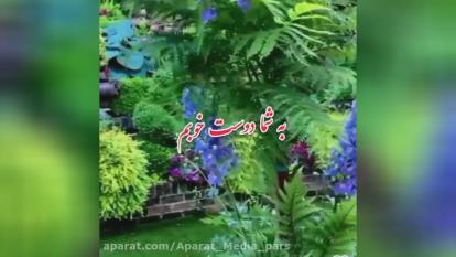 پوستر 🌺سلام به زندگی ،که برای بودنش زنده ام