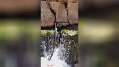پوستر سرچشمه در دل طبیعت