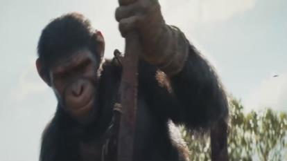 دانلود فیلم 2024 Kingdom of the Planet of the Apes