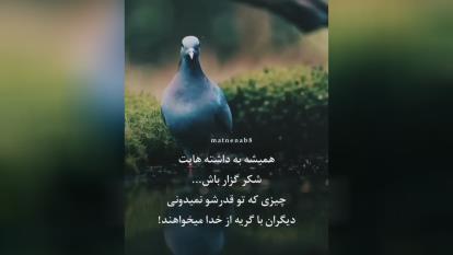 پوستر شکرگذاری