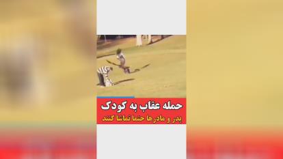 پوستر حمله عقاب به کودک