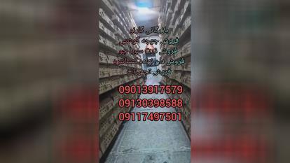 بازرگانی گارنو خرید فروش قیمت جوجه گوشتی راس پلاس کاب آرین و جوجه های وارداتی و 