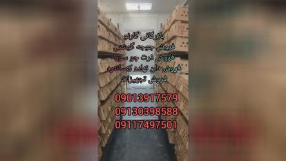 بازرگانی گارنو خرید فروش قیمت جوجه گوشتی راس پلاس کاب آرین و جوجه های وارداتی در