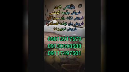 بازرگانی گارنو خرید فروش قیمت جوجه گوشتی راس پلاس کاب آرین و جوجه های وارداتی در