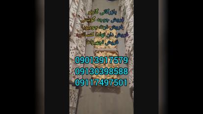 بازرگانی گارنو خرید فروش قیمت جوجه گوشتی راس پلاس کاب آرین و جوجه های وارداتی در