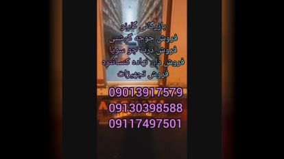 بازرگانی گارنو خرید فروش قیمت جوجه گوشتی راس پلاس کاب آرین و جوجه های وارداتی در