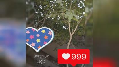 ولاگ با من داخل باغمان