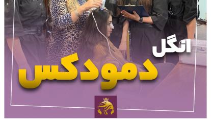 پوستر انگل دمودکس