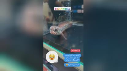 خودتون ببینید،  متوجه میشوید😉😉