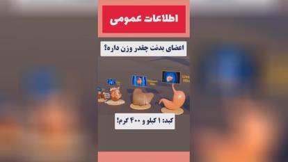 با این ویدیو میدانی که اعضای بدنت چقدر وزن دارد