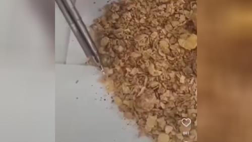 فروش پودر جوجه و پر